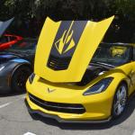 2019 Albums (January 01, 2019)